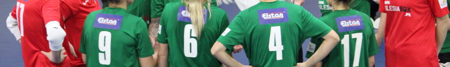 Oficjalna strona internetowa FC 2016 Siemianowice Śląskie